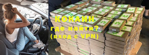 крисы Кодинск